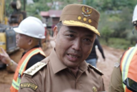 Gubernur Kalimantan Barat Ria Norsan. (Ocsya Ade CP/detikKalimantan)