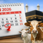 Ilustrasi prediksi Lebaran Haji 2026 yang diperkirakan jatuh pada 27 Mei, ditandai pada kalender dengan latar Ka’bah dan hewan kurban.