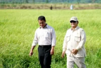 Dokumentasi - Presiden Prabowo Subianto (kanan) didampingi Menteri Pertanian Andi Amran Sulaiman (kiri) dalam kunjungan ke Wanam, Kabupaten Merauke, Papua Selatan. ANTARA/HO-Kementan.