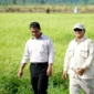 Dokumentasi - Presiden Prabowo Subianto (kanan) didampingi Menteri Pertanian Andi Amran Sulaiman (kiri) dalam kunjungan ke Wanam, Kabupaten Merauke, Papua Selatan. ANTARA/HO-Kementan.