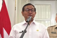 Pramono Anung (Belia/detikcom)