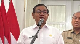Pramono Anung (Belia/detikcom)