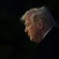 Foto: Donald Trump (Getty Images via AFP/ALEX WONG).