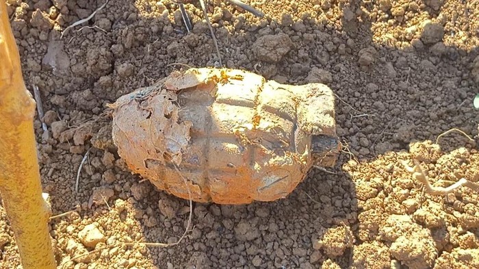 Foto: Sebuah granat nanas ditemukan di TPU Lebang Palopo. (dok. Istimewa)