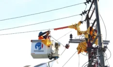 PLN Ungkap Gangguan Transmisi di Jambi Jadi Pemicu Blackout Sumatra, Listrik Sempat Padam Massal