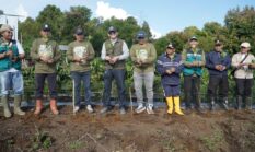 Tembus Jalur Ekstrem, Ariansyah Wakili Gubernur Jambi Panen Kopi Robusta di Kerinci