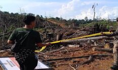80 Hektare Hutan TN Kerinci Seblat Dirambah, Puluhan Pondok Ditemukan