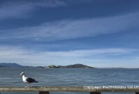 Perbandingan foto menggunakan fitur 200MP di Galaxy S26 Ultra dengan 1x zoom (atas) dan 10x zoom (bawah).