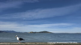 Perbandingan foto menggunakan fitur 200MP di Galaxy S26 Ultra dengan 1x zoom (atas) dan 10x zoom (bawah).