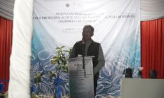 Pemprov Dorong Ekspor Kopi Kerinci Lewat Pelabuhan Jambi, Target Pasar Global Diperluas