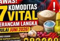 Foto: RRI Sungai Penuh