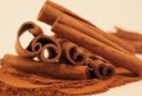 Kayu manis. (Foto: ANTARA)