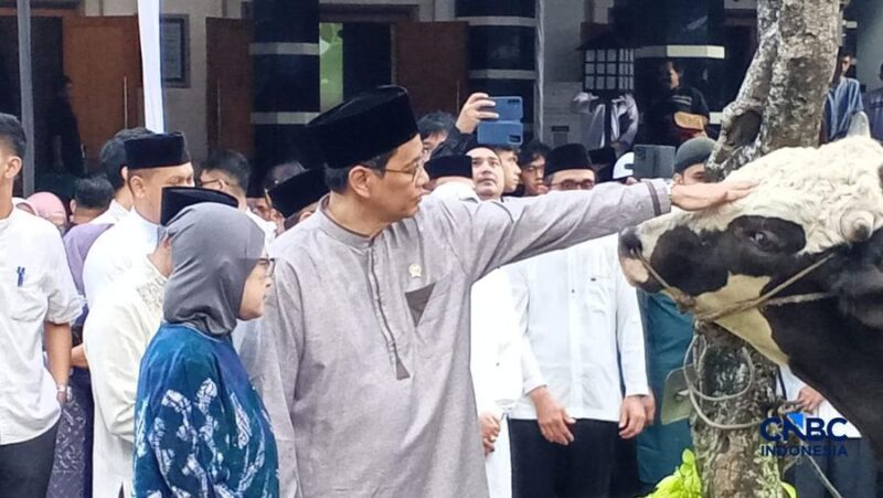 (Foto: CNBC Indonesia/Robertus Andrianto)
